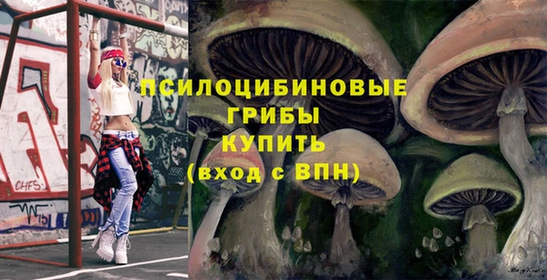 дживик Козловка