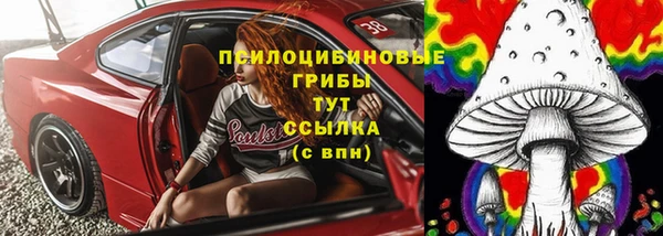 дживик Козловка