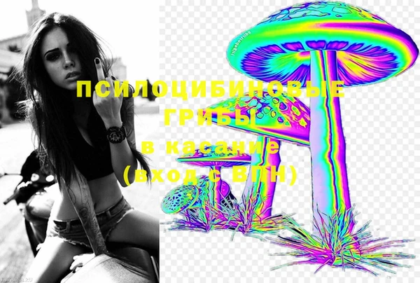 герыч Козельск