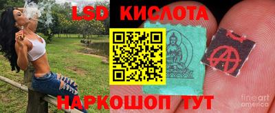гидропоника Ртищево
