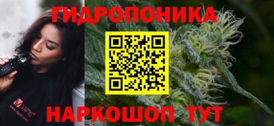 PSILOCYBIN Азнакаево