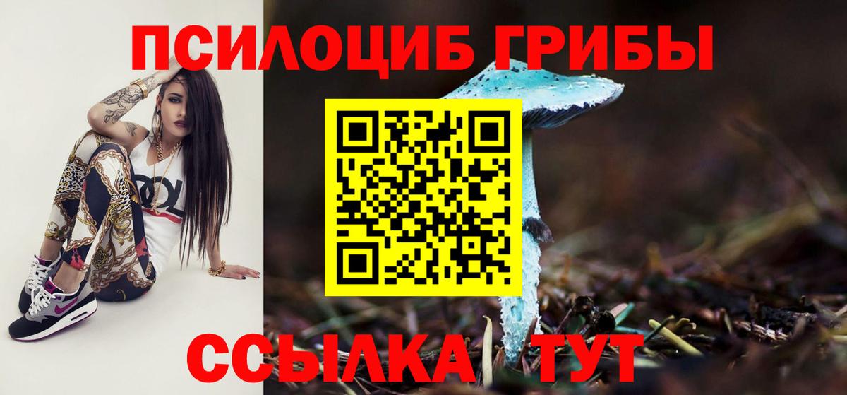 Галлюциногенные грибы Cubensis Архангельск