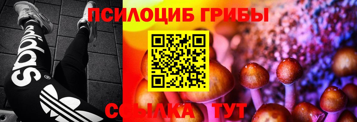 наркота  Вход с VPN  Архангельск  Галлюциногенные грибы Magic Shrooms  Галлюциногенные грибы Magic Shrooms 