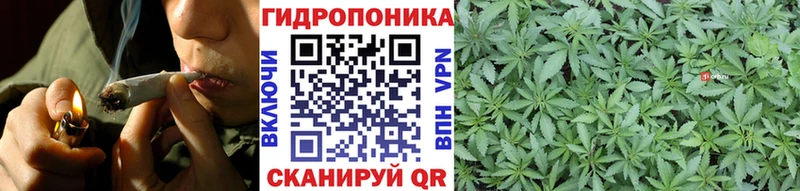 Купить где  Архангельск  Бошки марихуана THC 21% 